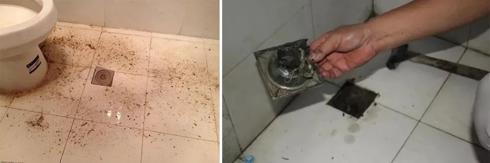 家里衛(wèi)生間老有異味，潔匠凈化教您如何解決難聞的臭味.jpg